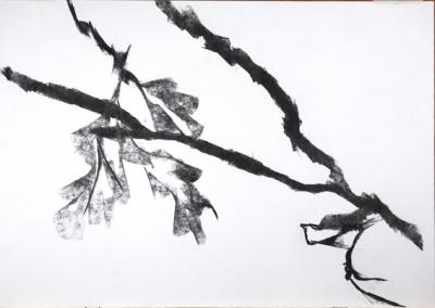 21. OAK LEAVES 3  BRANCHES